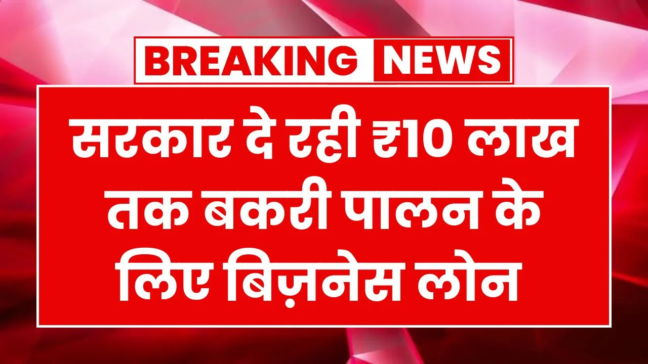 Bakri Palan Business Loan Yojana