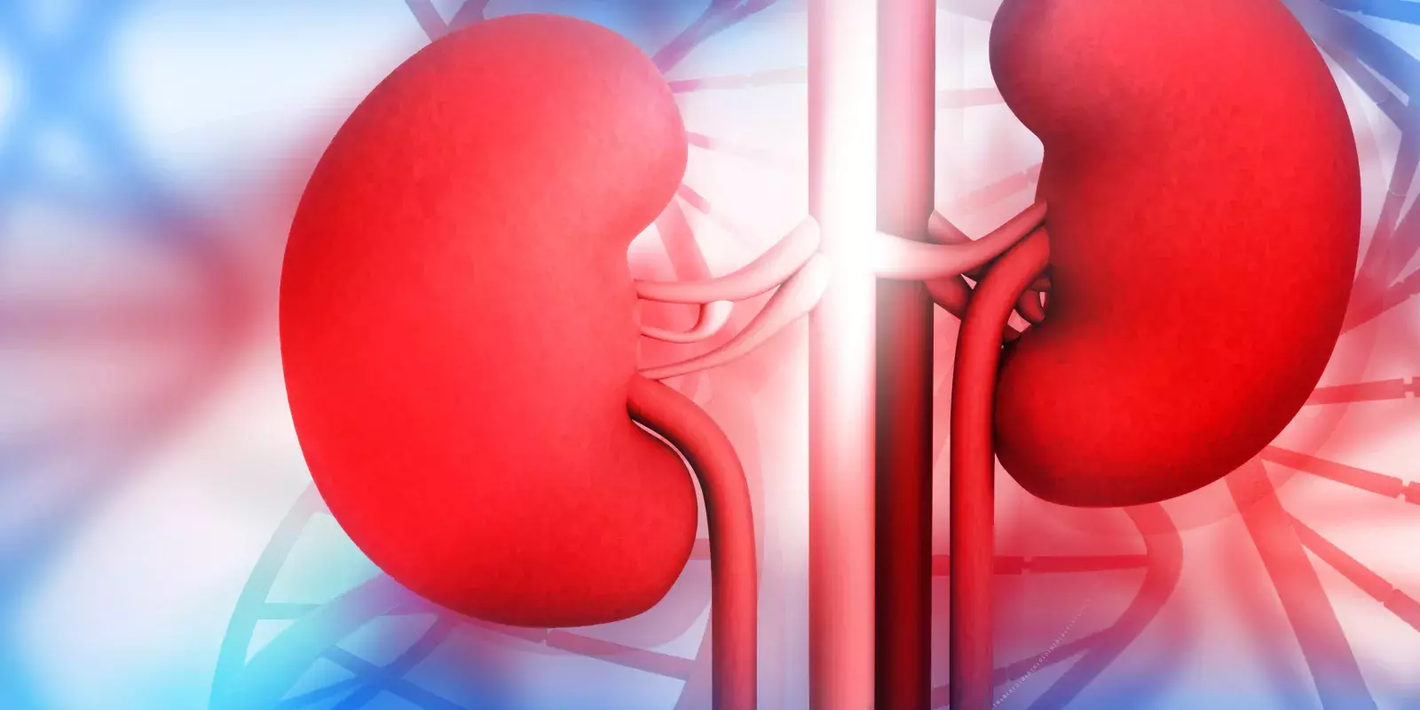 Home Remedies for Kidney Health